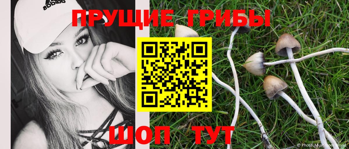 Галлюциногенные грибы Magic Shrooms  Волоколамск 