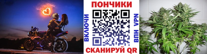 Купить  Волоколамск  Каннабис Bruce Banner 